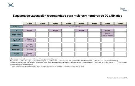 Vista previa de la primera página del esquema de vacunación: Adultos de 20 a 59 años